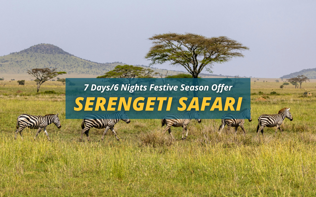 Exclusive Serengeti Festive Season Safari – 7 Days/6 Nights