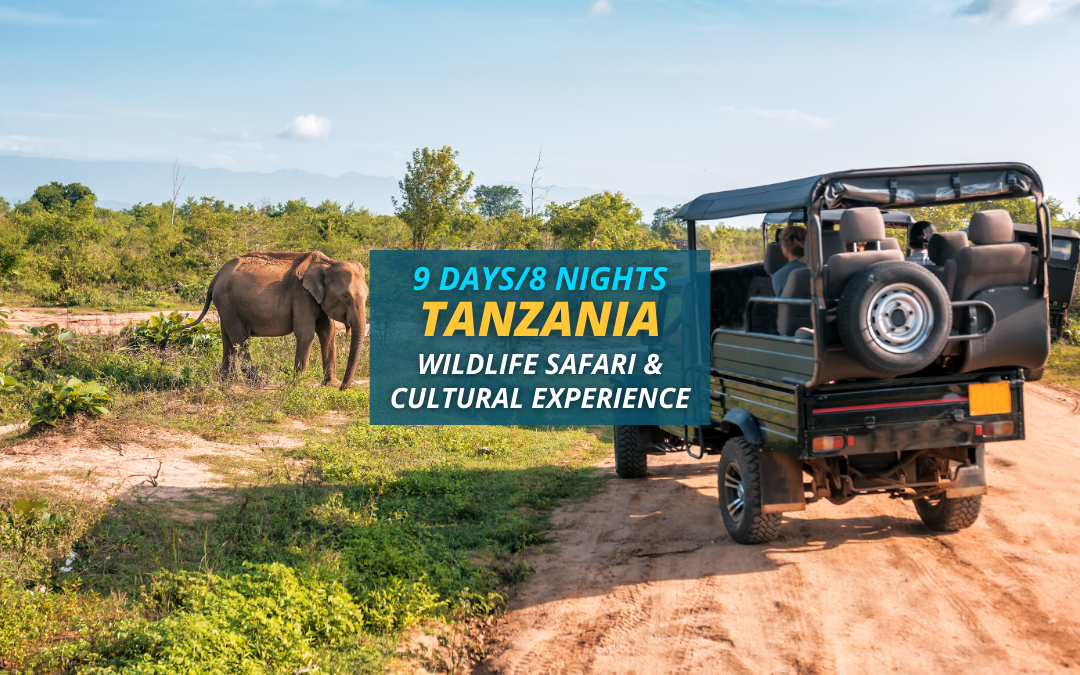 Tanzania Wildlife Safari and Cultural Experience – 9 Days/8 Nights