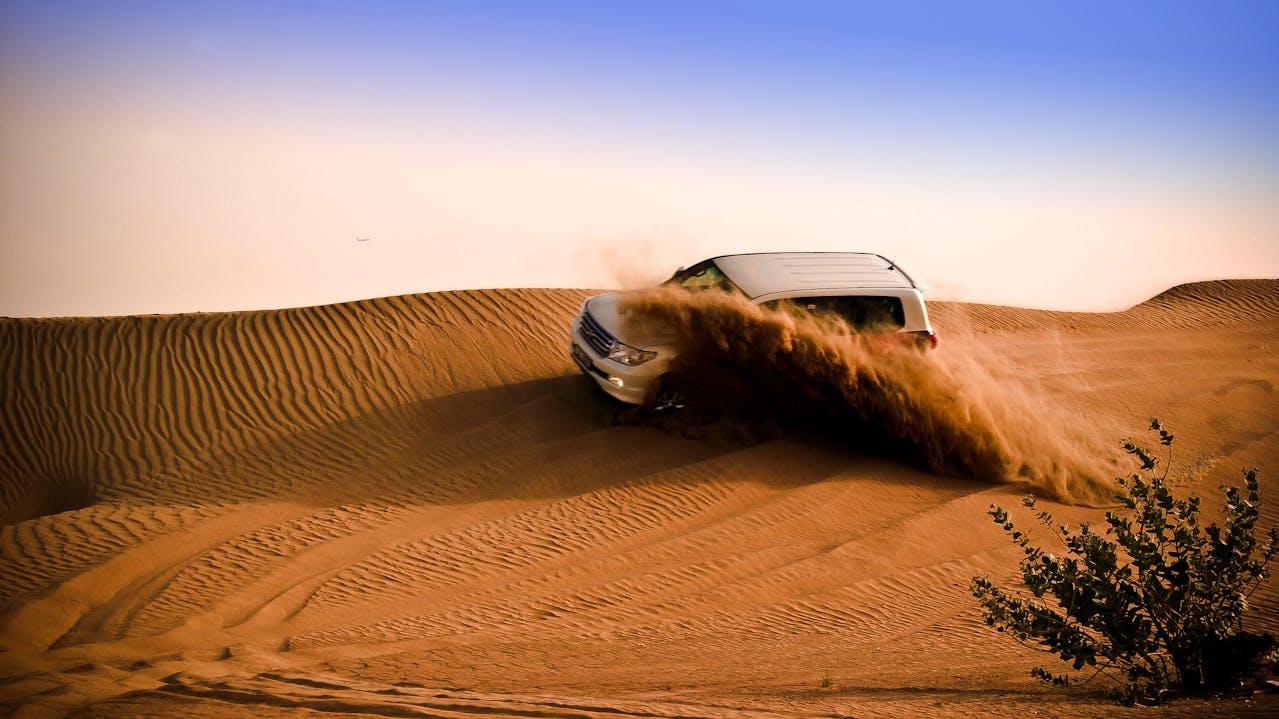 Embark on a desert safari in Bahrain.