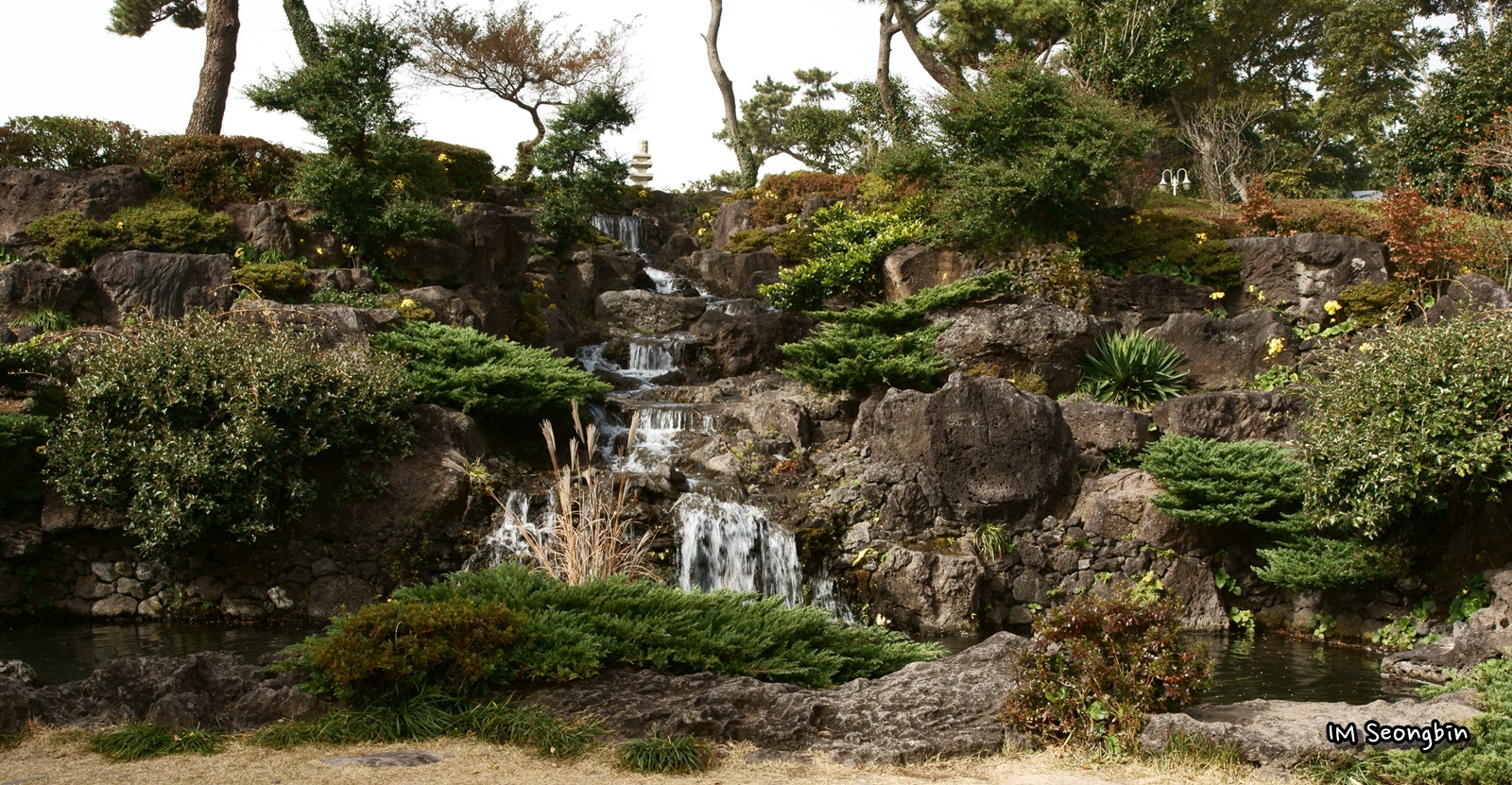 Camellia Hill Botanical Garden