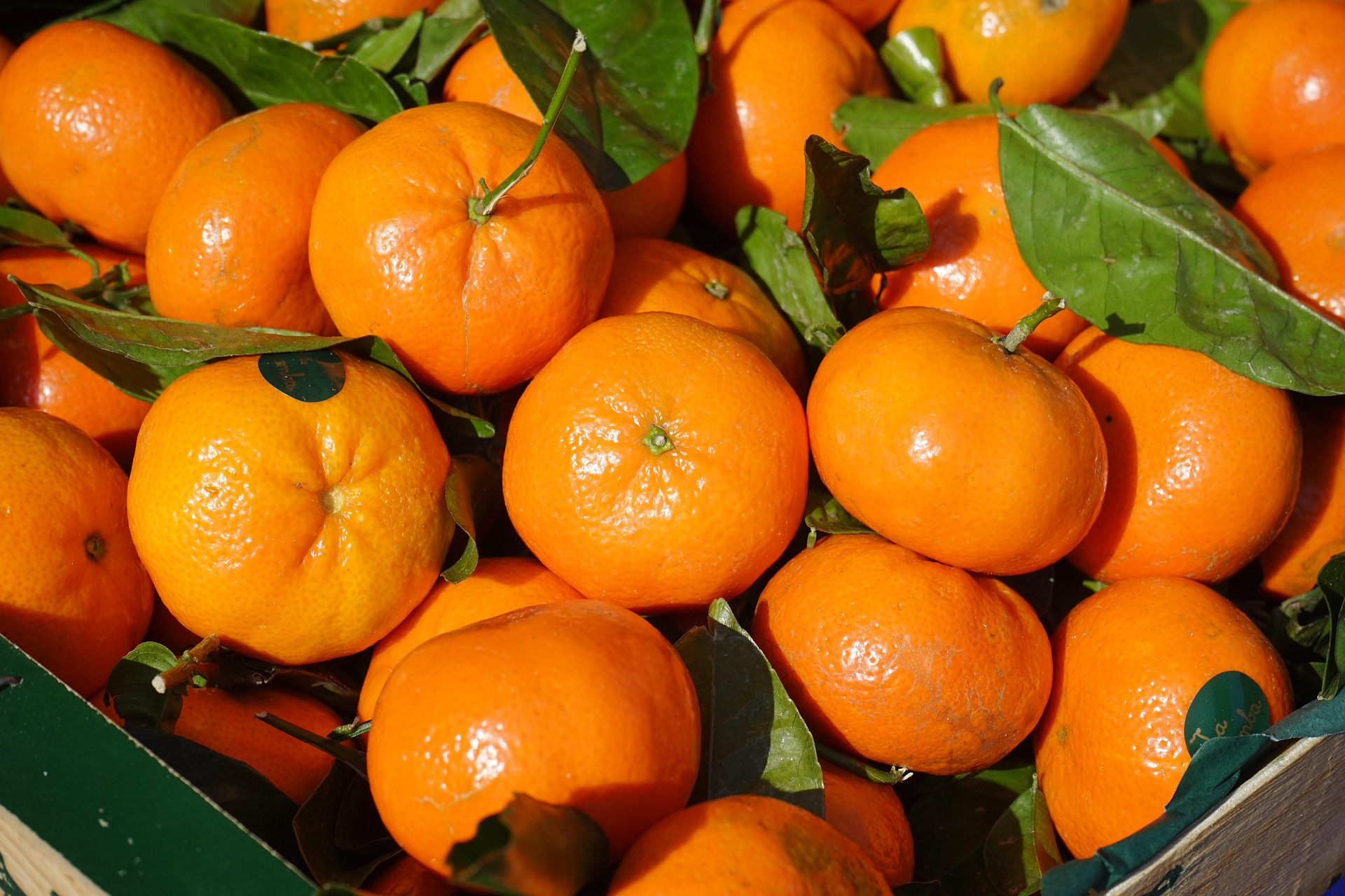 Tangerines