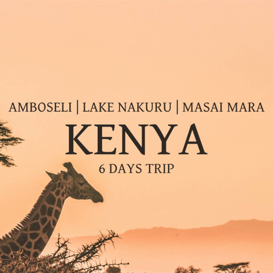 Kenya: Amboseli, Lake Nakuru & Masai Mara - 6 Days Trip