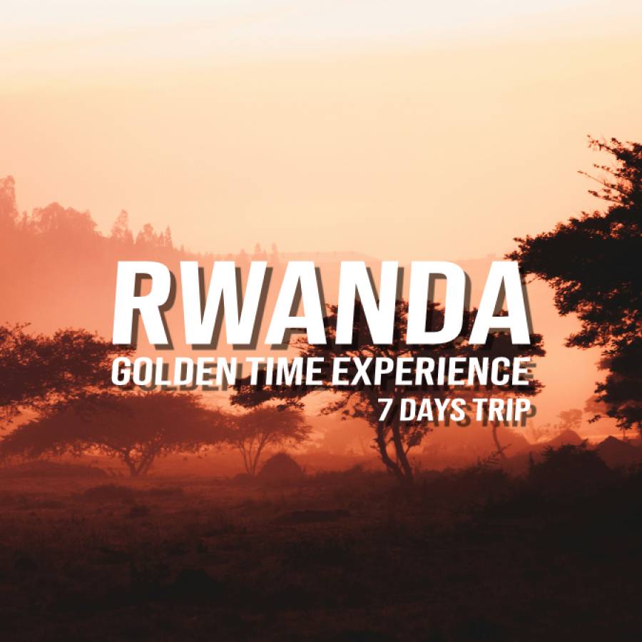 Rwanda: Golden Time Experience - 7 DAYS TRIP