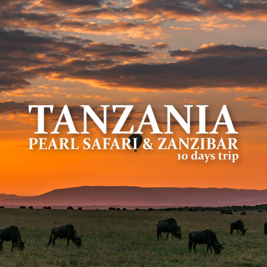 Tanzania: Pearl Safari & Zanzibar - 10 DAYS TRIP