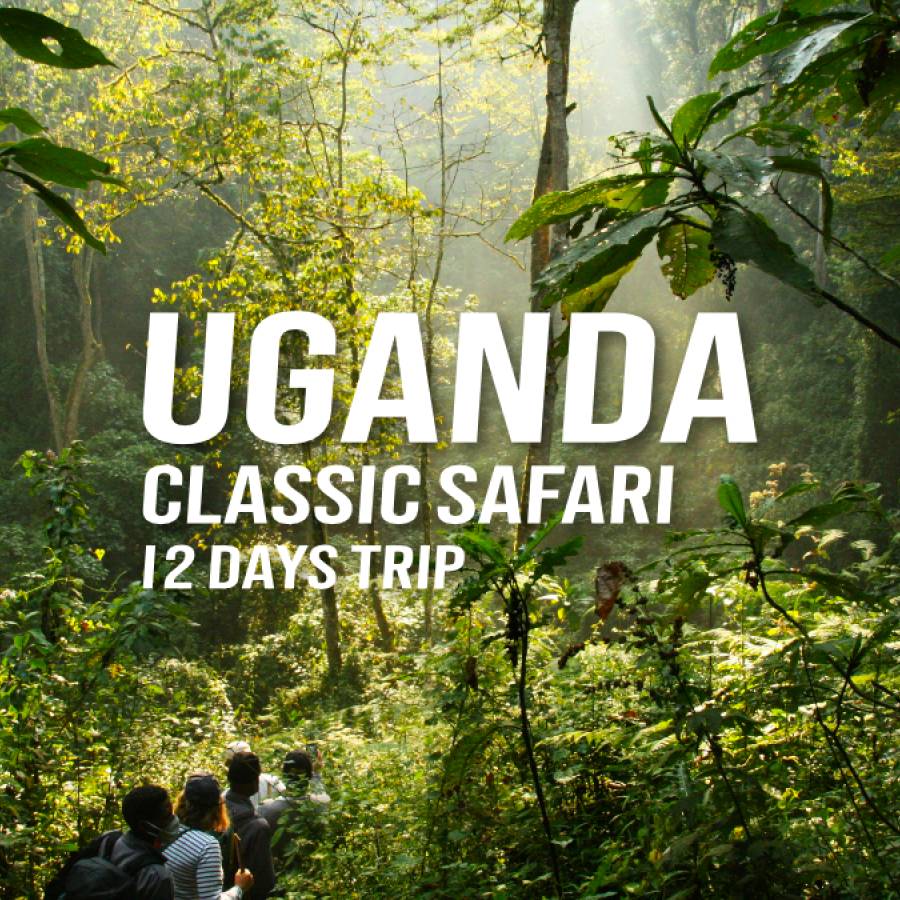 Uganda Classic Safari - 12-DAYS TRIP