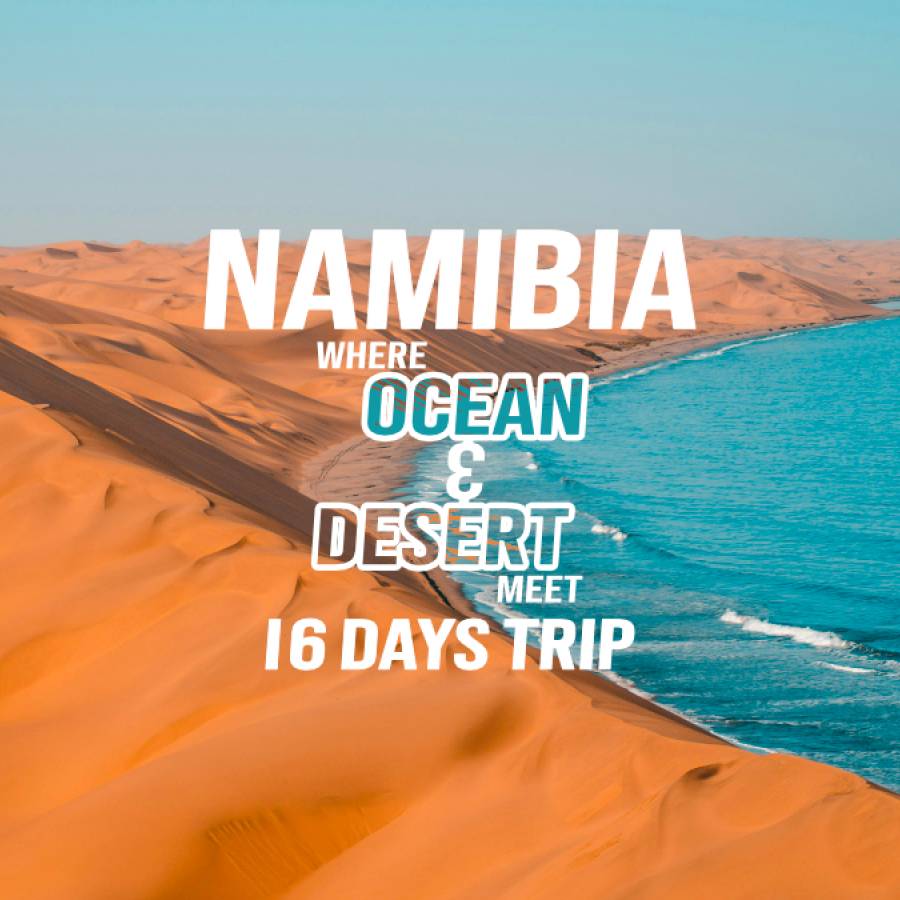 Namibia: Where Ocean & Desert Meet - 16 Days Trip