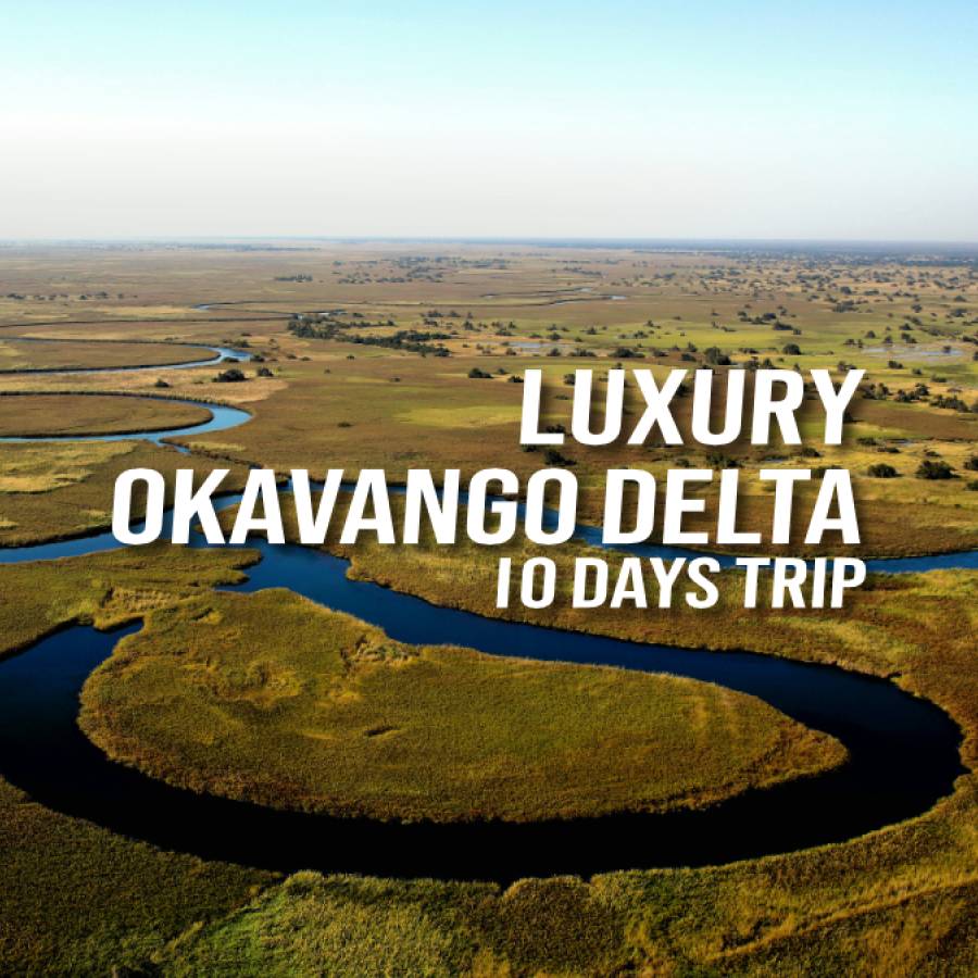 Luxury Okavango Delta - 10-DAYS TRIP