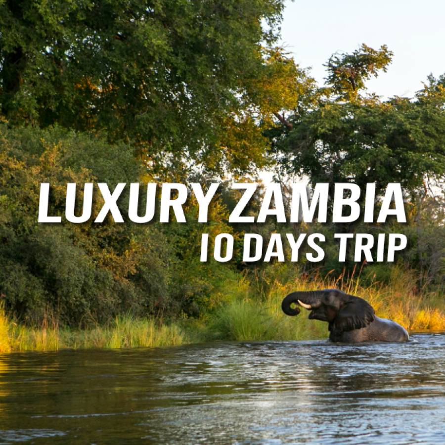 Luxury Zambia - 10-DAYS TRIP