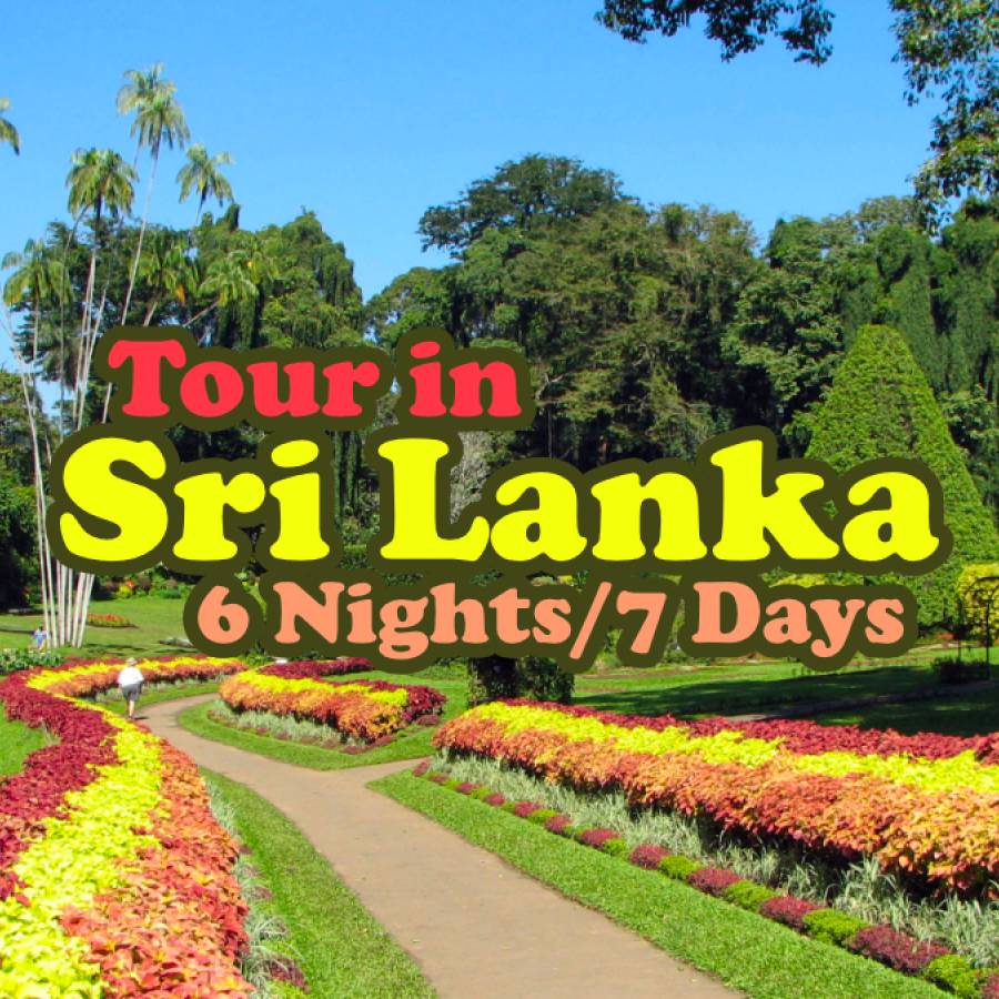 Tour in Sri Lanka - 6 nights/7 days