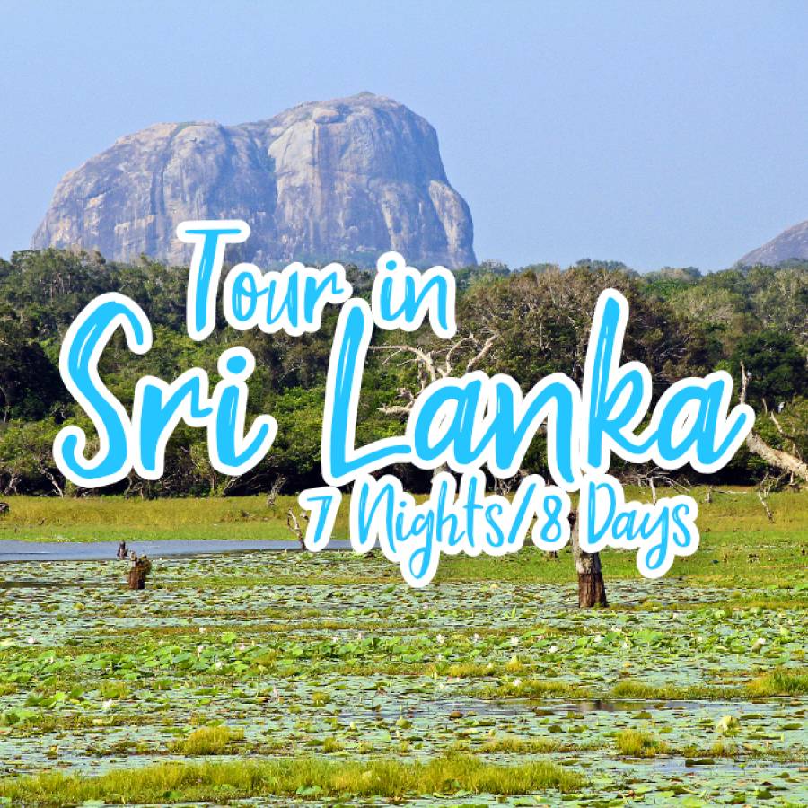 Tour in Sri Lanka - 7 nights/8 days