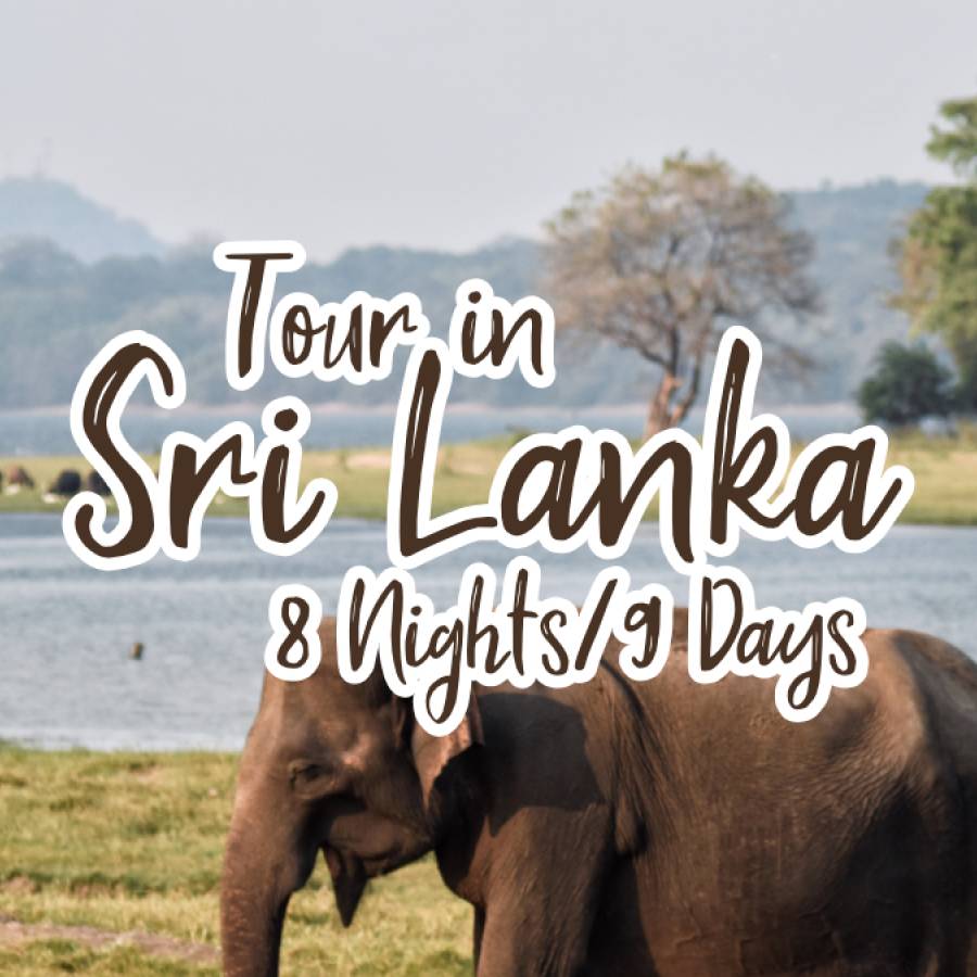 Tour in Sri Lanka - 8 Nights/9 Days