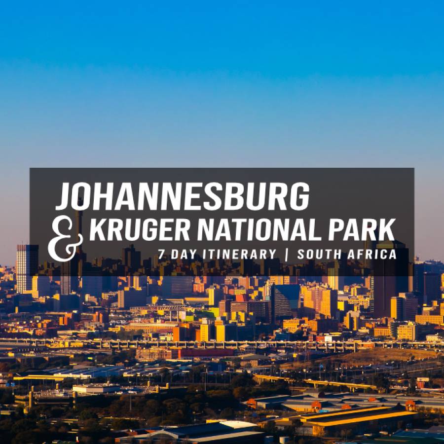 Johannesburg & Kruger National Park – 7-Day Itinerary