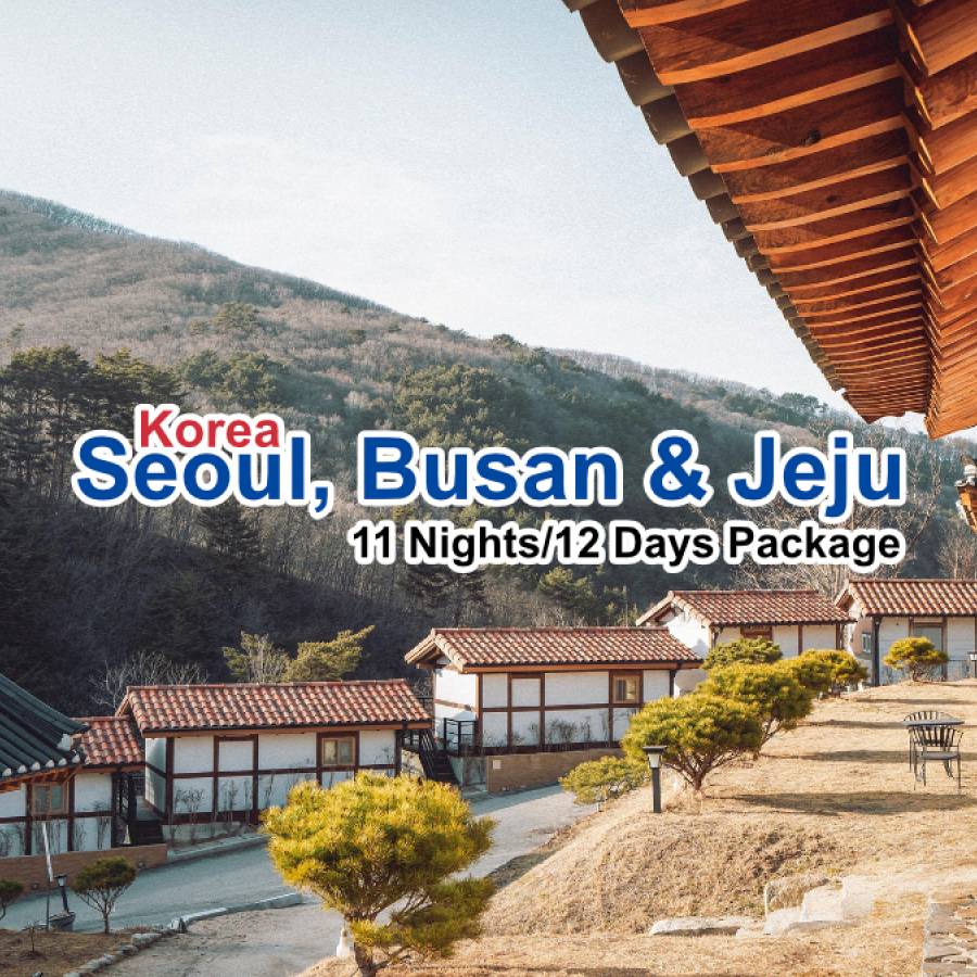 South Korea – 11 Nights/12 Days Packages