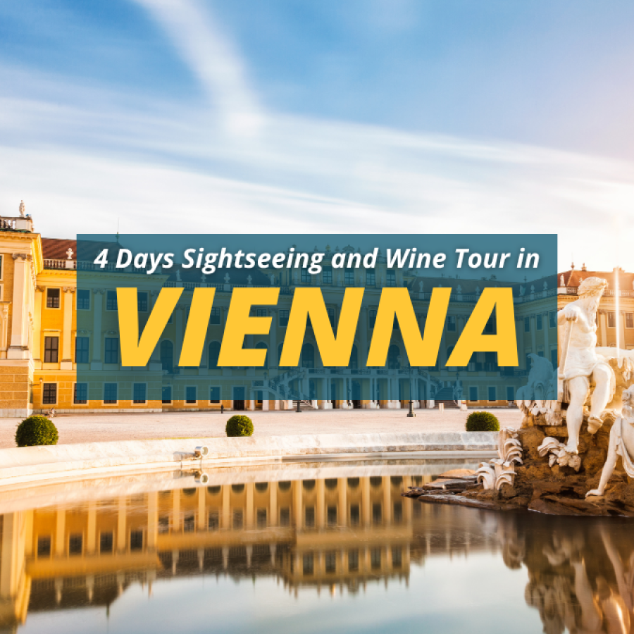 4 Days Sightseeing and Wine Tour in Vienna