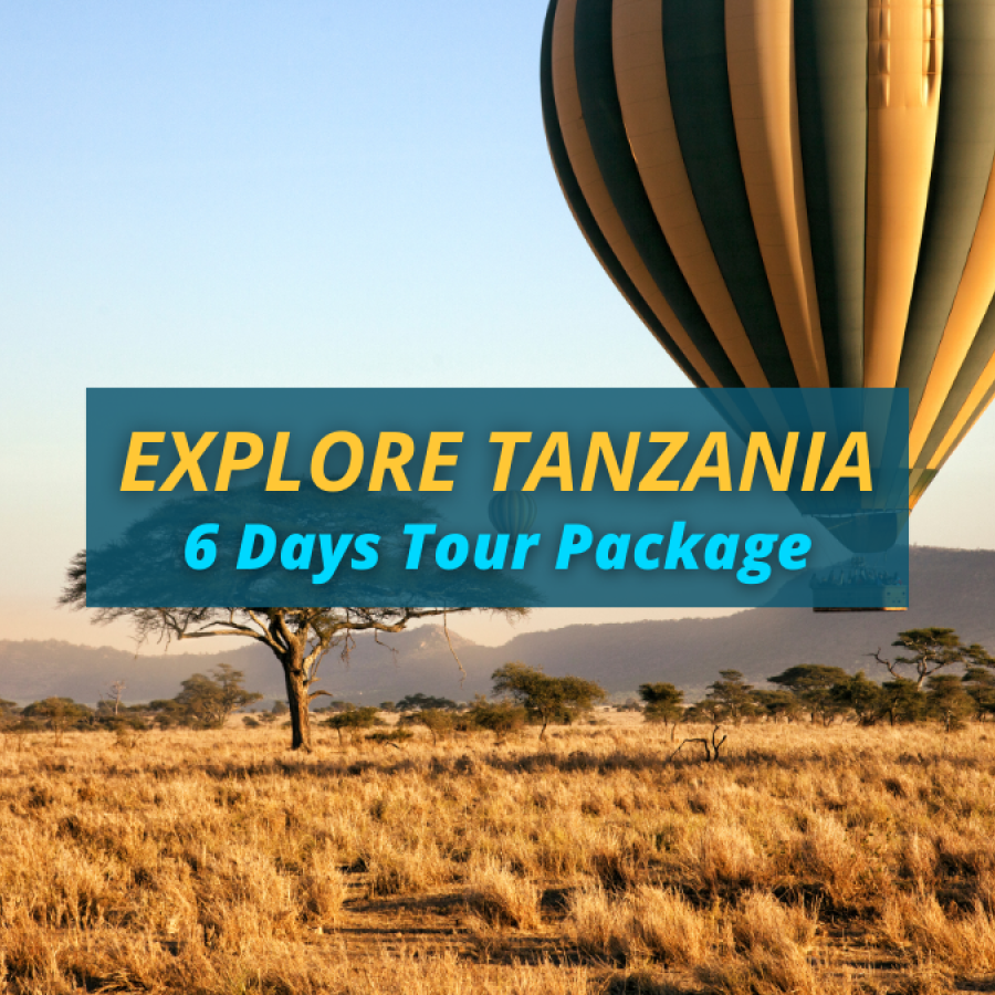 Explore Tanzania – 6 Days Tour Package (Tarangire, Serengeti, Ngorongoro)
