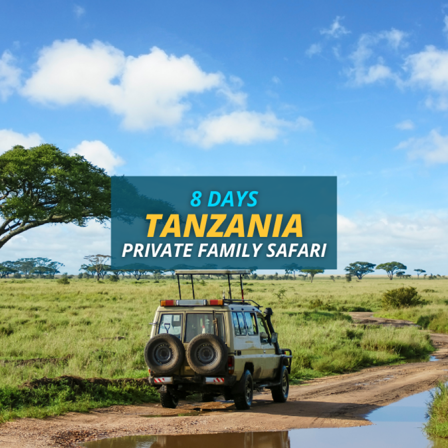 Tanzania 8 Days Private Family Safari