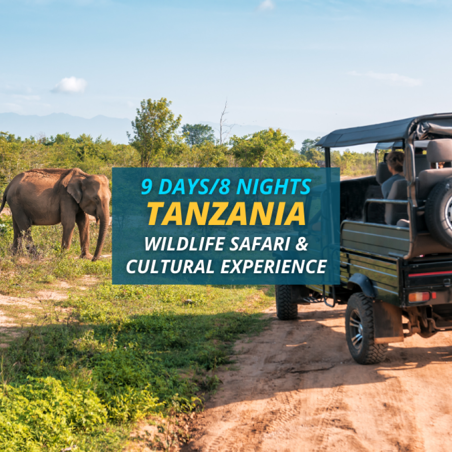 Tanzania Wildlife Safari and Cultural Experience – 9 Days/8 Nights