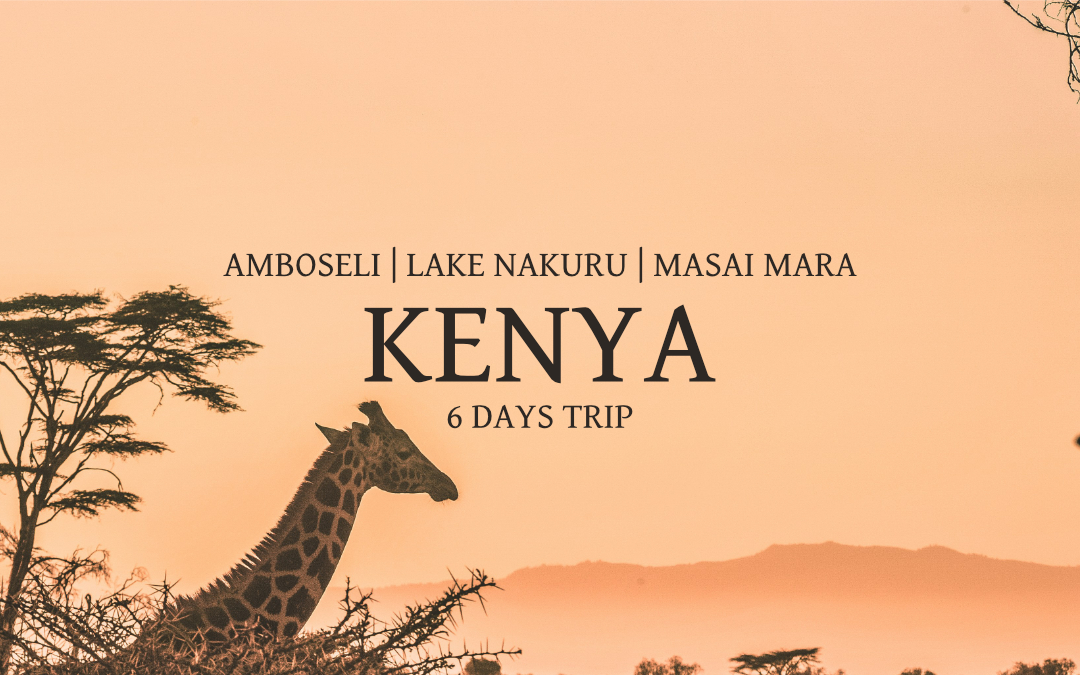 Kenya: Amboseli, Lake Nakuru & Masai Mara - 6 Days Trip