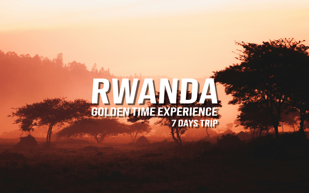 Rwanda: Golden Time Experience - 7 DAYS TRIP