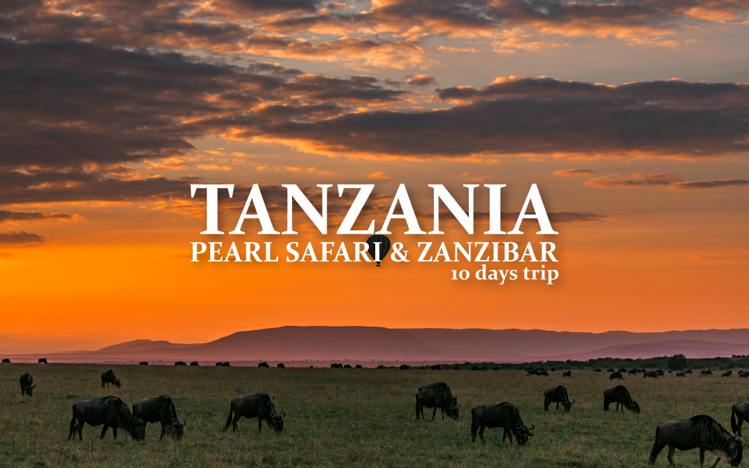 Tanzania: Pearl Safari & Zanzibar - 10 DAYS TRIP