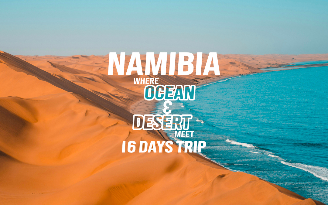 Namibia: Where Ocean & Desert Meet - 16 Days Trip