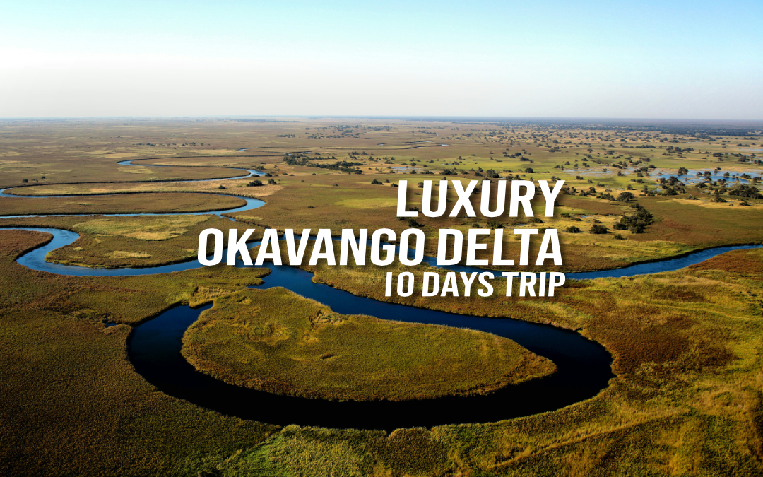 Luxury Okavango Delta - 10-DAYS TRIP