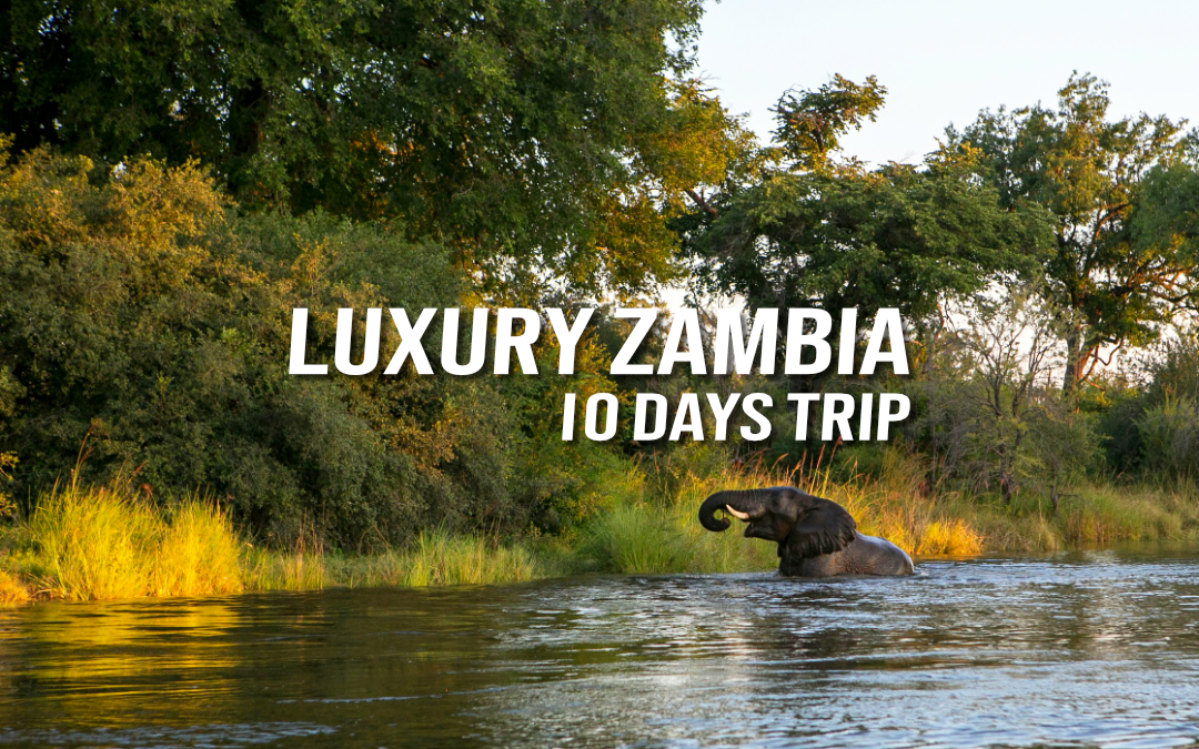 Luxury Zambia - 10-DAYS TRIP