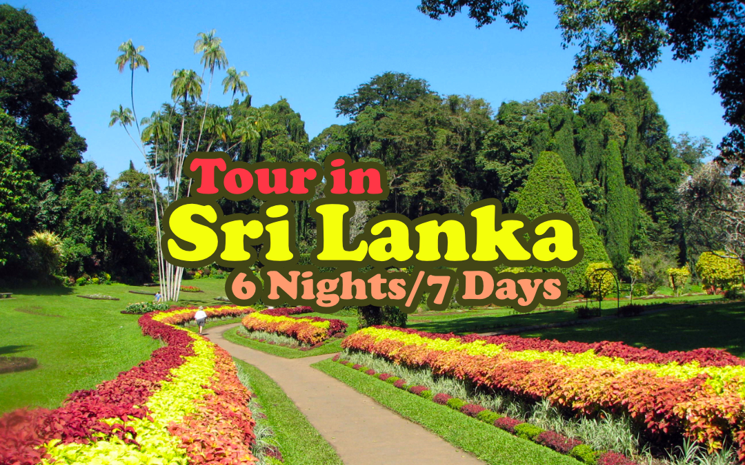 Tour in Sri Lanka - 6 nights/7 days