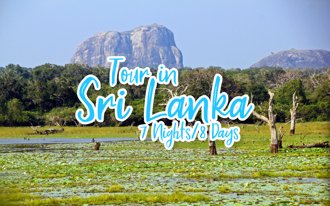 Tour in Sri Lanka - 7 nights/8 days