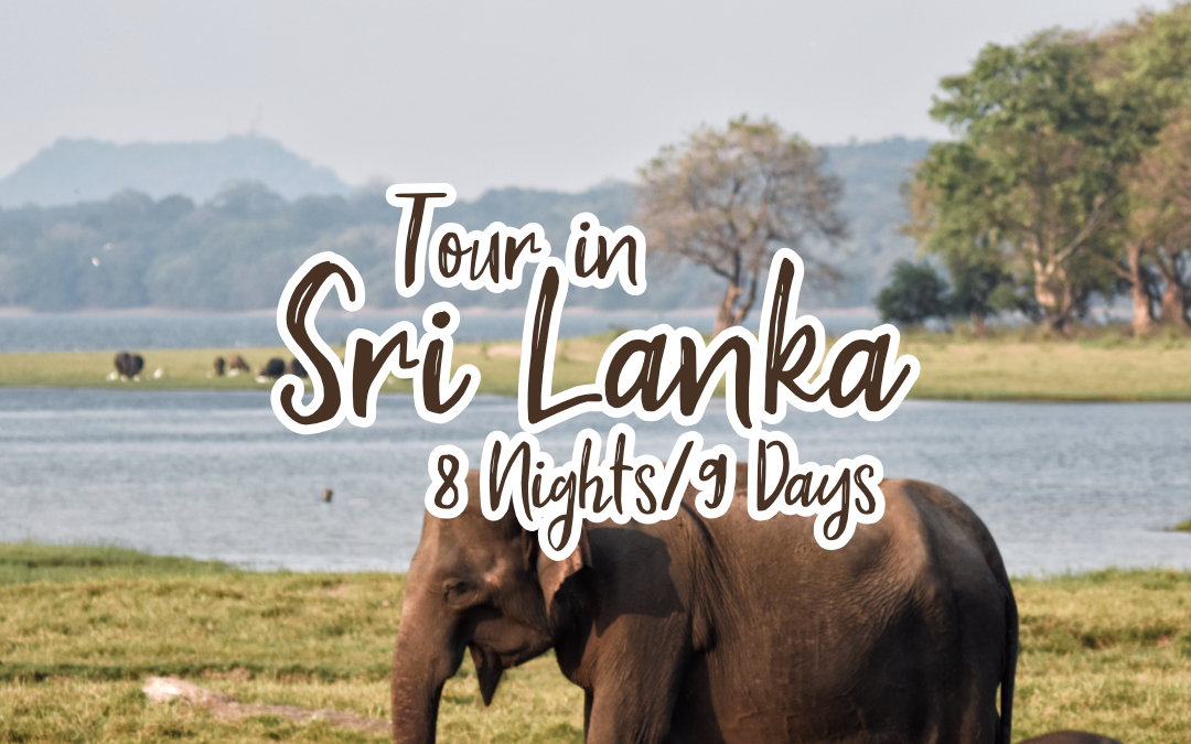 Tour in Sri Lanka - 8 Nights/9 Days